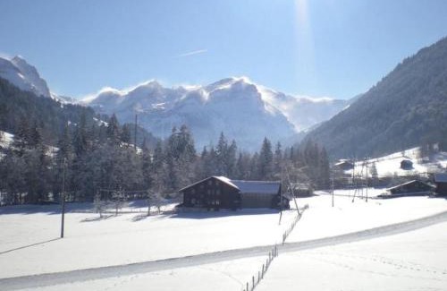 Zweisimmen Nr Gstaad Apartamento | Apartment Farfalla by Interhome