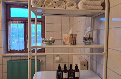 Gunzenhausen Apartamento | Apartment 'Ferienwohnung Mit Privater Sauna' with Shared Garden, Balcony and Wi-Fi