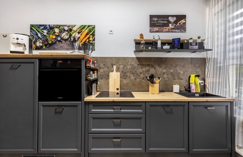 Dessau-Rosslau Apartamento | Apartamento 'Fewo Am Georgengarten - Wohnung 2' con terraza compartida y Wi-Fi