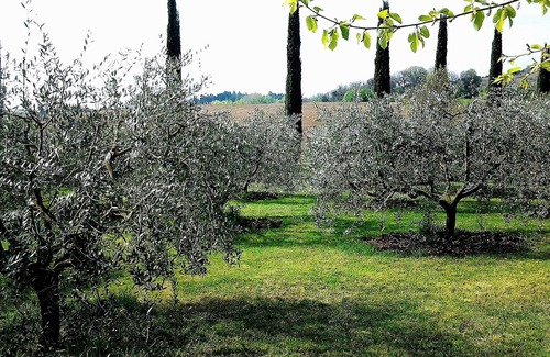 Fratta Todina Apartamento | piso / apartamento - FRATTA TODINA