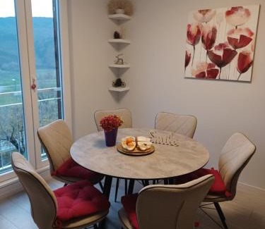 Buzet Apartamento | Apartment Fontana