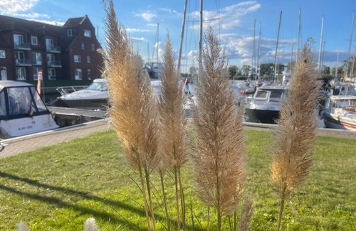 Ueckermuende Apartamento | Apartamento / app. para 3 personas con 55m² en Ueckermünde (55063)