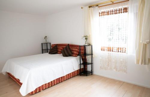 Sistrans Apartamento | Apartment FreiRaum