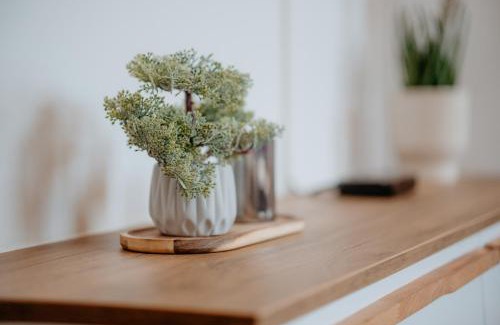 Bjelasnica Apartamento | Apartment Frost Bjelasnica