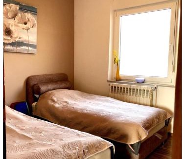 Buzdohanj Apartamento | Apartment Galjanić