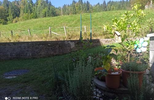 Bad Aussee Apartamento | Apartment Gimpelchen
