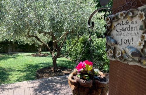 Diklo Apartamento | Apartment Green