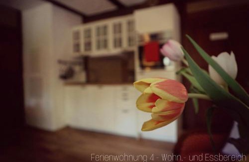 Oberzug Apartamento | Apartment Grubenhaus20