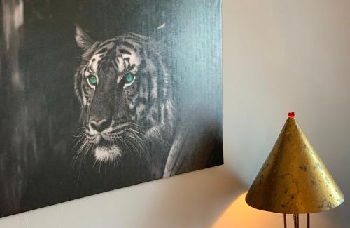 Leipziger Vorstadt Apartamento | Apartment Hechtstraße