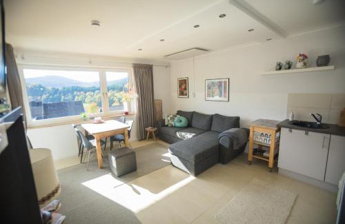 Niedersfeld Apartamento | Apartment Hillebachsee