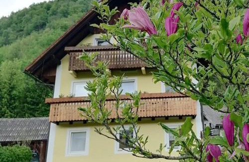 Bohinj Apartamento | Apartment House Andrej