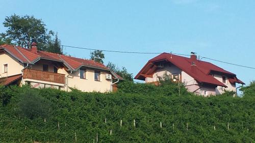 Bizeljsko Apartamento | Apartment House Sumrak