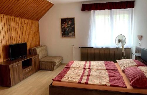 Balatonlelle Apartamento | Apartment in Balatonlelle 19129