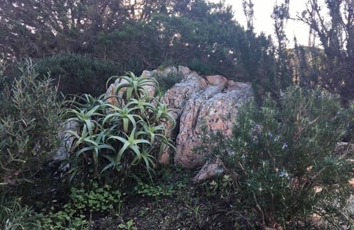 Portobello di Gallura Apartamento | Casa de vacaciones / villa en el campo con fantásticas vistas al mar y piscina privada