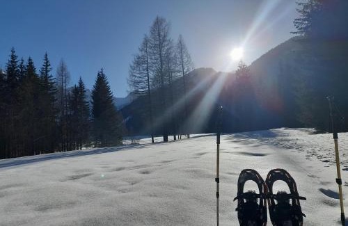 Bodental Apartamento | Apartment in Bodental near Ski Slopes