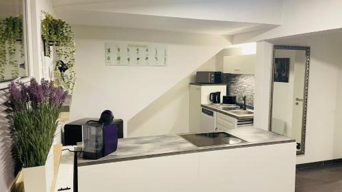 Rhein-Erft-Kreis District Apartamento | Apartment in Erftstadt , Phantasialand Brühl bei Cologne, Zentral, Bahnhof nah