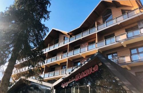 Bakuriani Apartamento | Apartment in hotel Tbilisi, Bakuriani