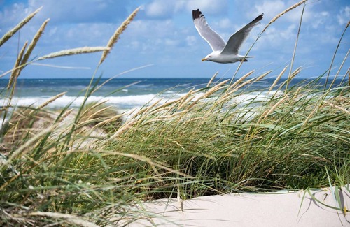 Knokke Apartamento | Apartamento en Knokke-Heist con Vista al Mar