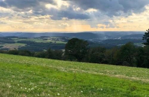 Feyen-Weismark Apartamento | Apartment in Pellingen near Trier & Nature Park