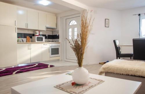 Rakovica Apartamento | Apartment in Rakovica with Wi-Fi (601-3)