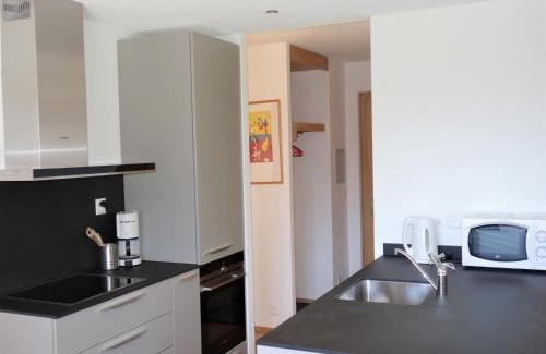 Nendaz Apartamento | Apartment in Switzerland with Private Balcony