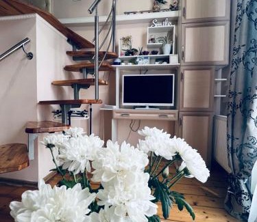 Kosuv Stary Apartamento | Apartment in the city center mini