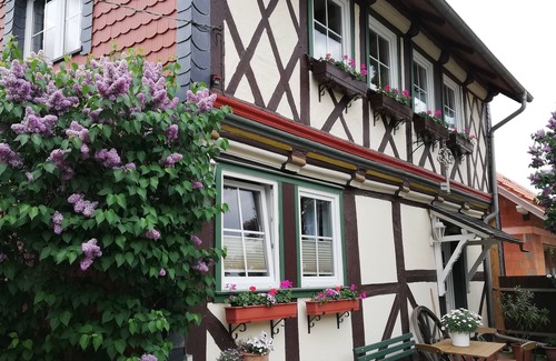 Ilsenburg Apartamento | Apartamento en la histórica casa de entramado de madera en la hermosa Harz