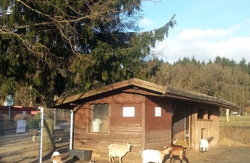 Bad Marienberg Apartamento | Apartamento en el Westerwald en pocos pasos al parque de la fauna, la escalada bosque, Marienbad ..