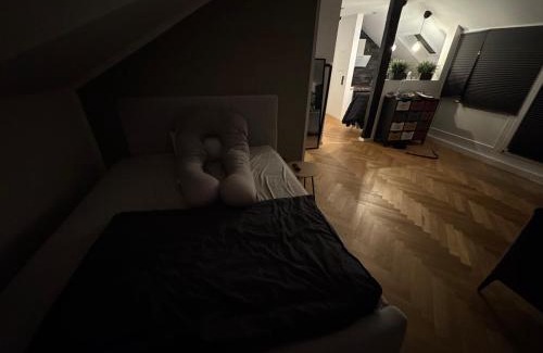 Andernach Apartamento | Apartment inklusiver großer Terrasse