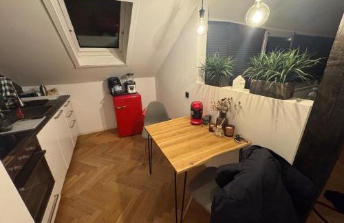 Andernach Apartamento | Apartment inklusiver großer Terrasse