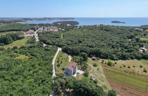 Rovinj Apartamento | Apartment Irena 2, free parking, 10 min from sea