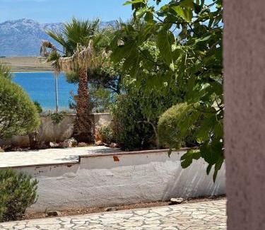 Vir Apartamento | Apartment Island of love