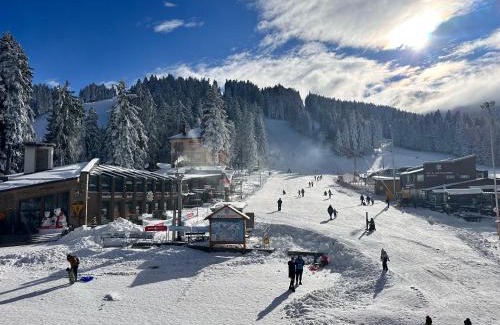 Borovets Apartamento | Apartment IVA - Iglika 2