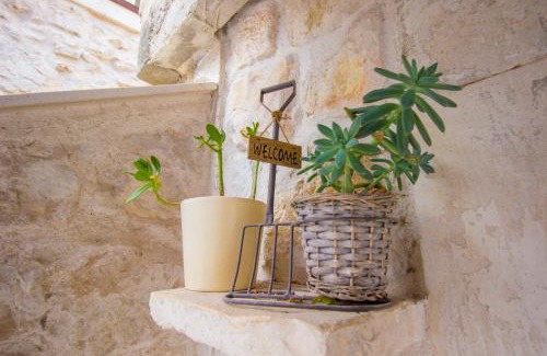 Plisac Apartamento | Apartment Ivan city center