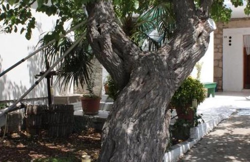 Kali Apartamento | Apartment Kali 8269b
