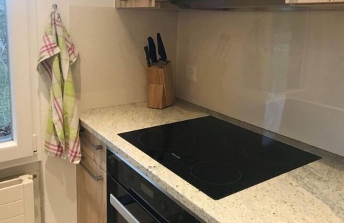 Saanenmoeser Apartamento | Apartamento Kleeblatt en Saanenmöser - 4 personas, 3 dormitorios