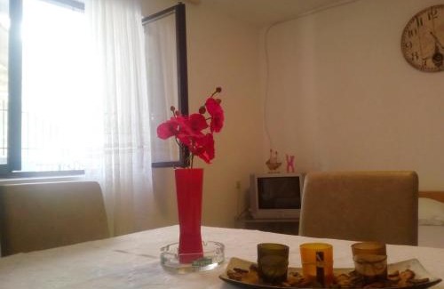 Kotor Apartamento | Apartment Kotor-Andrija Jovanovic