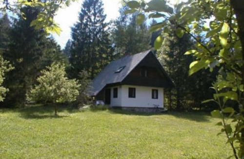 Ukanc Apartamento | Apartment Lake Bohinj no. 5