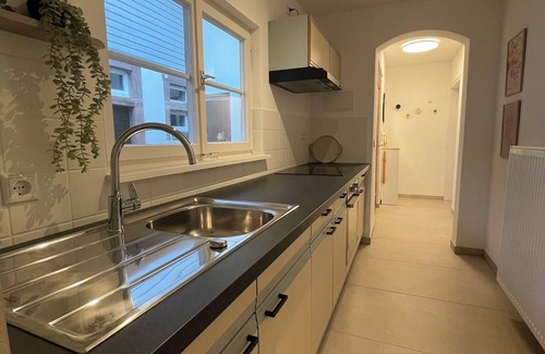Oberharmersbach Apartamento | Apartment 'Langenberghof' with Private Garden and Wi-Fi