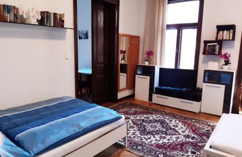 Alservorstadt Apartamento | Apartment Laudon