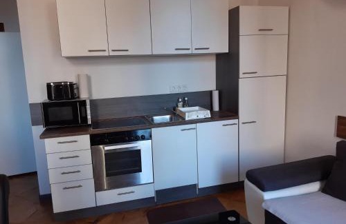 Alservorstadt Apartamento | Apartment Laudon