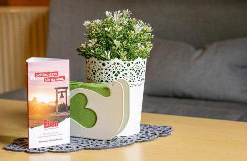 Eben im Pongau Apartamento | Apartment Lehengut