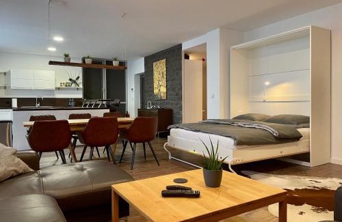 Zentrum-Nordwest Apartamento | Apartment Leipzig Waldstraßenviertel Loft Terrasse, RedBull Arena