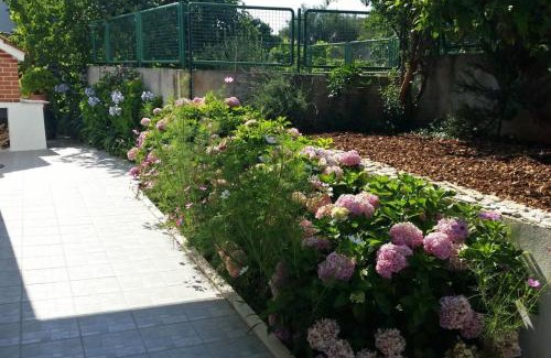 Arbanija Apartamento | Apartment Lilac