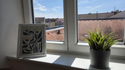 Bamberg Apartamento | Apartment Lu16 Four Bamberg - modern in zentral Lage