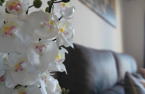 Guadalmar Apartamento | Apartamento Málaga-Churriana, 3 dormitorios, 6 personas