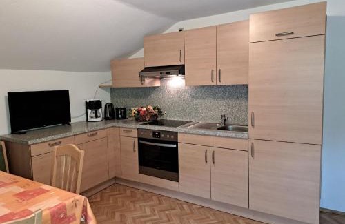 Ramsau im Zillertal Apartamento | Apartment Maiklerhof by Interhome
