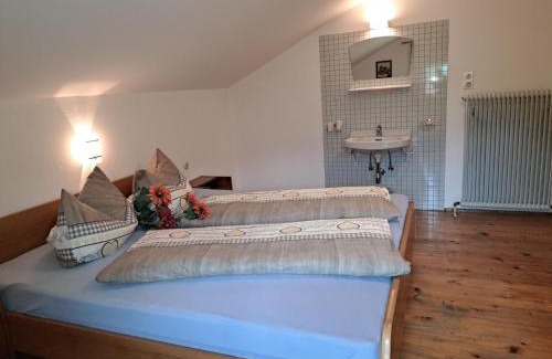 Ramsau im Zillertal Apartamento | Apartment Maiklerhof by Interhome