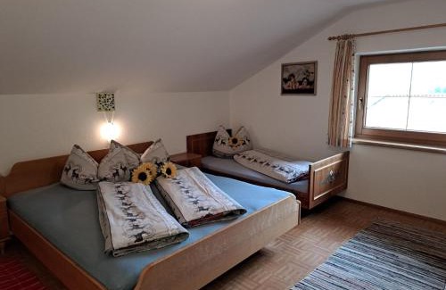 Ramsau im Zillertal Apartamento | Apartment Maiklerhof by Interhome
