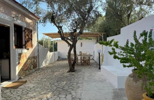 Kompi Apartamento | Apartment Marema